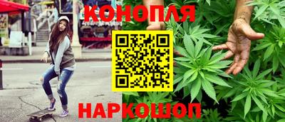 стаф Обнинск
