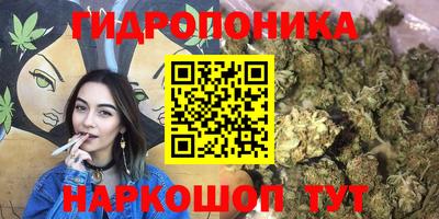 PSILOCYBIN Пенза