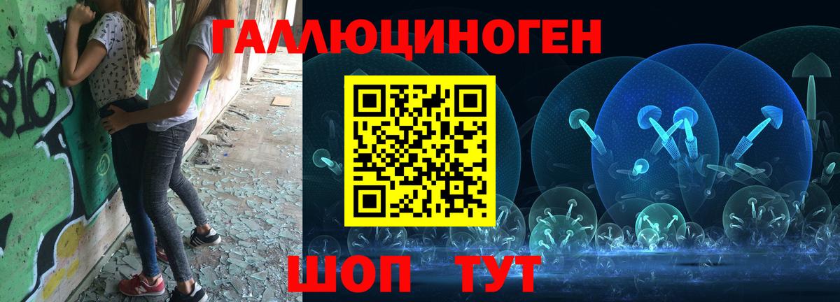 Псилоцибиновые грибы Psilocybine cubensis Торжок