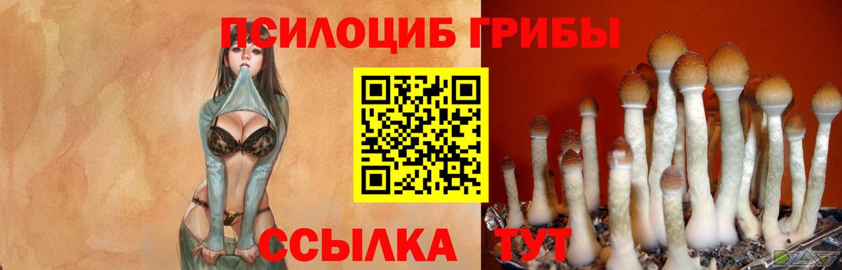 Торжок  Галлюциногенные грибы Magic Shrooms  Вход с VPN 